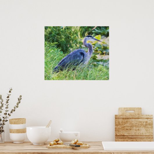 Great Blue Heron Poster (Küche)