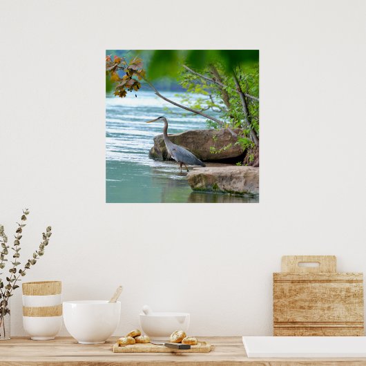 Great Blue Heron Poster (Küche)