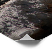 Great Blue Heron Poster (Ecke)