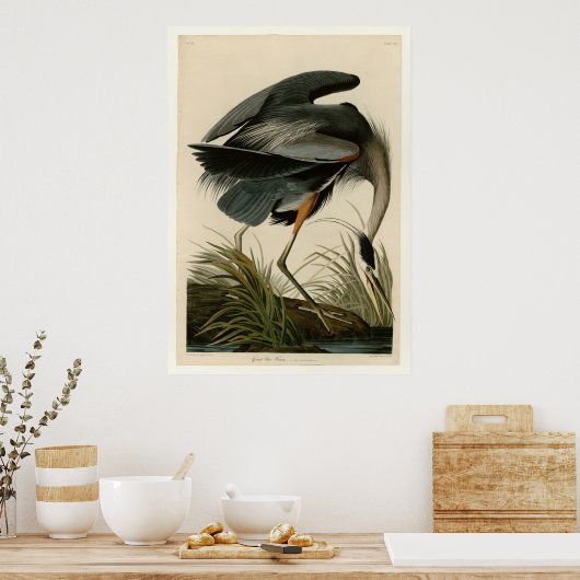 Great Blue Heron Poster (Küche)