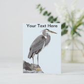 Great Blue Heron Postkarte (Stehend Vorderseite)