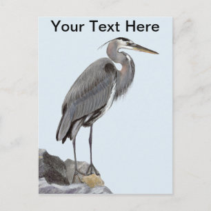 Great Blue Heron Postkarte
