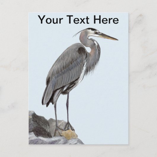 Great Blue Heron Postkarte (Vorderseite)