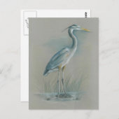 Great Blue Heron Postkarte (Vorne/Hinten)