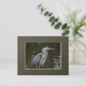 Great Blue Heron Postkarte (Stehend Vorderseite)