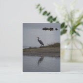 Great Blue Heron Postkarte (Stehend Vorderseite)