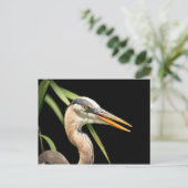 Great Blue Heron Postkarte (Stehend Vorderseite)