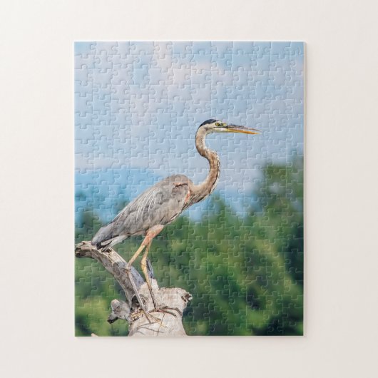 Great Blue Heron Puzzle (Vertikal)