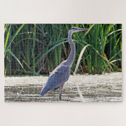 Great Blue Heron Puzzle (Horizontal)