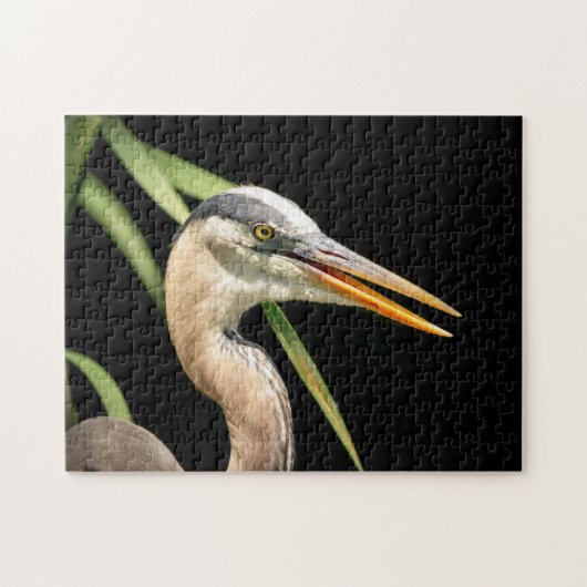 Great Blue Heron Puzzle (Horizontal)