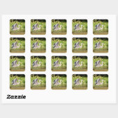 Great Blue Heron Quadratischer Aufkleber (Blatt)