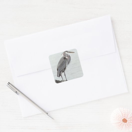 Great Blue Heron Quadratischer Aufkleber (Umschlag)