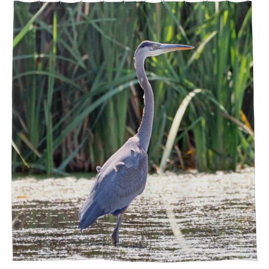 Great Blue Heron Shower Curtain Duschvorhang (Vorderseite)