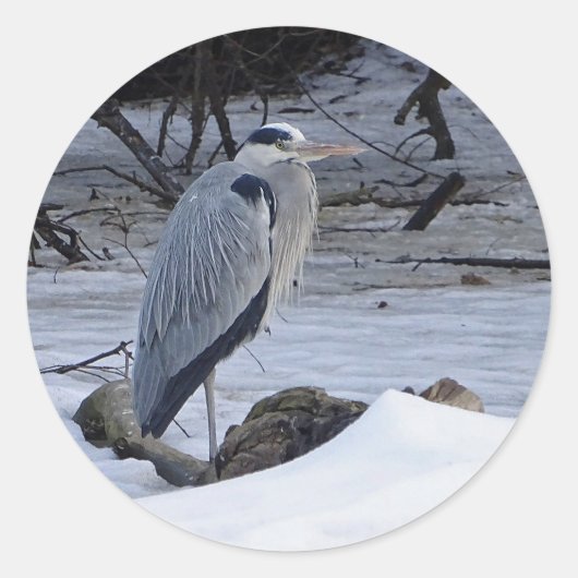 Great Blue Heron Snow Foto Runder Aufkleber (Vorderseite)