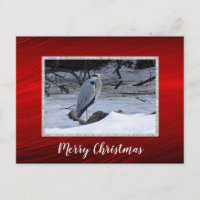 Great Blue Heron Snow Foto Weihnachten