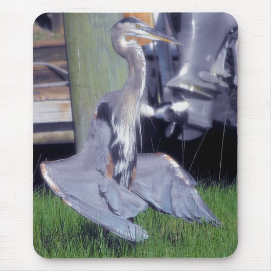 Great Blue Heron Sonnenbaden Mousepad (Vorne)