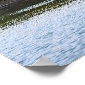 Great Blue Heron Spreading Wings Poster (Ecke)