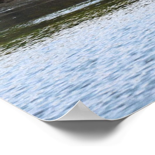 Great Blue Heron Spreading Wings Poster (Ecke)