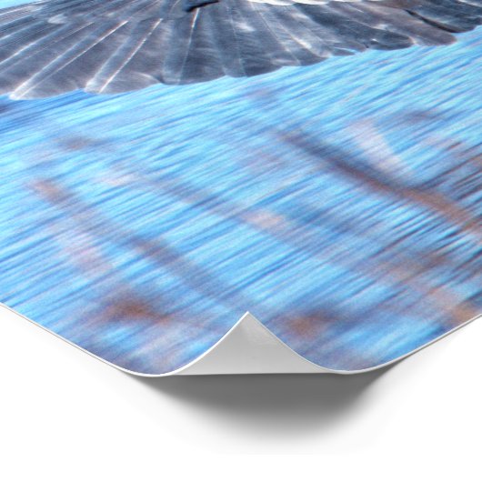 Great Blue Heron Spreading Wings Poster (Ecke)