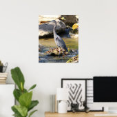 Great Blue Heron stehend in Bachsbucht Foto Poster (Heimbüro)