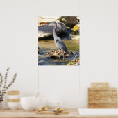 Great Blue Heron stehend in Bachsbucht Foto Poster (Küche)