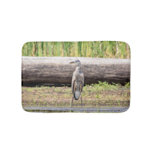 Great Blue Heron stehend in Lake Champlain Badematte