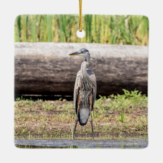 Great Blue Heron stehend in Lake Champlain Keramikornament (Rückseite)
