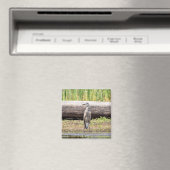 Great Blue Heron stehend in Lake Champlain Magnet (In Situ (Geschirrspüler))