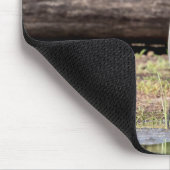 Great Blue Heron stehend in Lake Champlain Mousepad (Ecke)