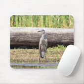 Great Blue Heron stehend in Lake Champlain Mousepad (Mit Mouse)