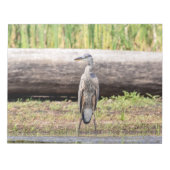 Great Blue Heron stehend in Lake Champlain Notizblock (Vorderseite)