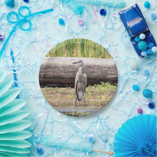 Great Blue Heron stehend in Lake Champlain Pappteller (Party)