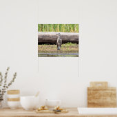 Great Blue Heron stehend in Lake Champlain Poster (Küche)