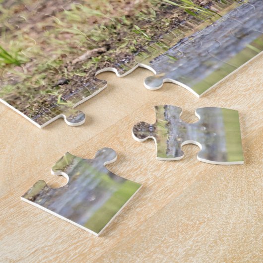 Great Blue Heron stehend in Lake Champlain Puzzle (Seite)