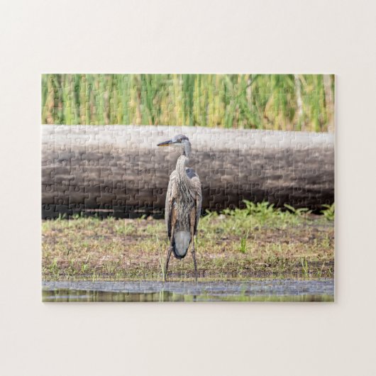 Great Blue Heron stehend in Lake Champlain Puzzle (Horizontal)