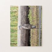Great Blue Heron stehend in Lake Champlain Puzzle (Vertikal)