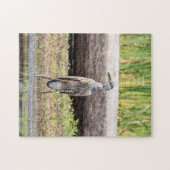 Great Blue Heron stehend in Lake Champlain Puzzle (Horizontal)
