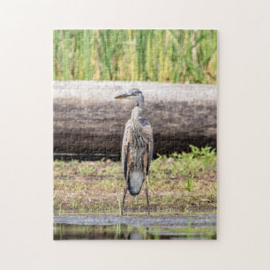 Great Blue Heron stehend in Lake Champlain Puzzle
