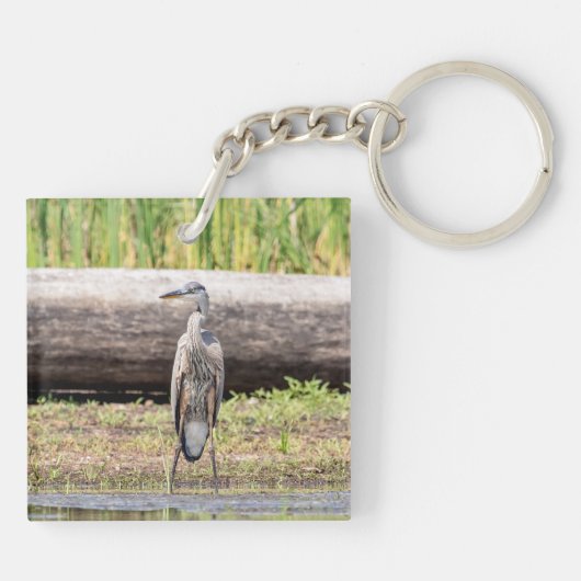 Great Blue Heron stehend in Lake Champlain Schlüsselanhänger (Rückseite)