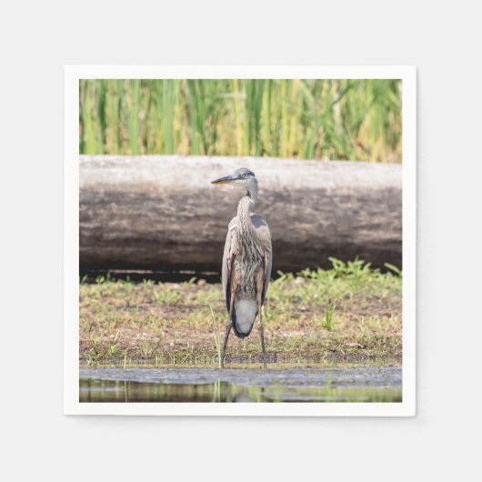 Great Blue Heron stehend in Lake Champlain Serviette (Vorderseite)