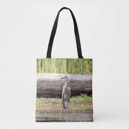 Great Blue Heron stehend in Lake Champlain Tasche (Vorderseite)