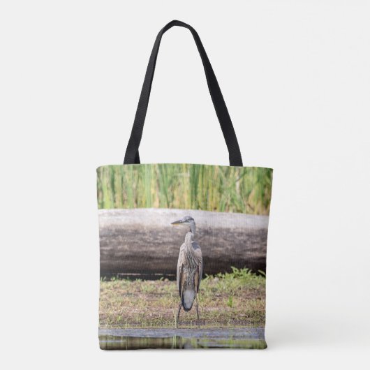 Great Blue Heron stehend in Lake Champlain Tasche (Rückseite)