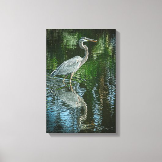 "Great Blue Heron" Stretched Canvas Print Leinwanddruck (Vorderseite)