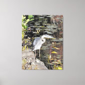 Great Blue Heron Stretched Canvas Print Leinwanddruck (Vorderseite)