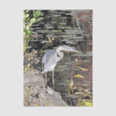 Great Blue Heron Stretched Canvas Print Seidenpapier (Vorderseite)