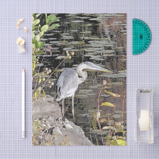 Great Blue Heron Stretched Canvas Print Seidenpapier (Handwerk)
