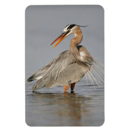 Great Blue Heron Twisted 4x6 Magnet