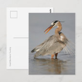Great Blue Heron Twisted Postcard Postkarte (Vorne/Hinten)