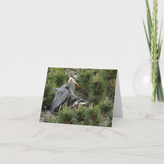 Great Blue Heron und seine Babys Karte (Vorderseite)