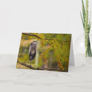 Great Blue Heron unter Herbstlauben Grußkarte Karte